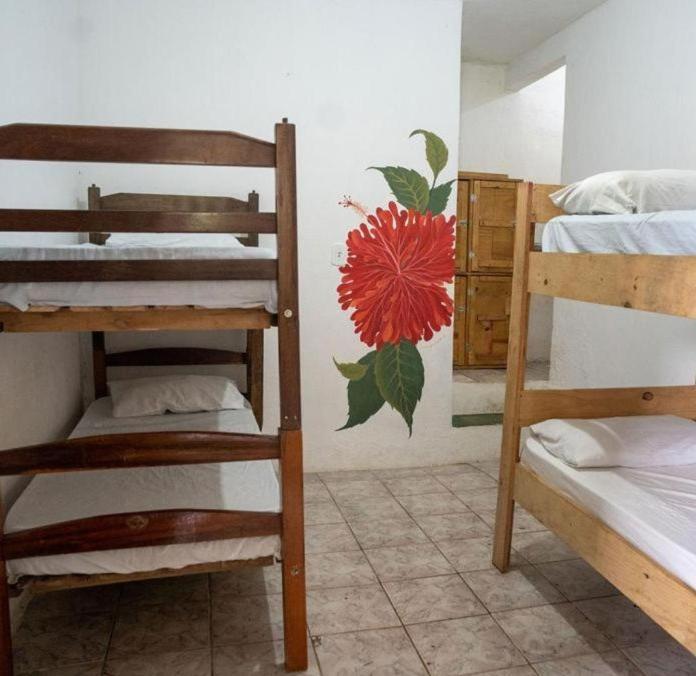 Pousada & Hostel Interligado Tiririca Itacaré Eksteriør bilde